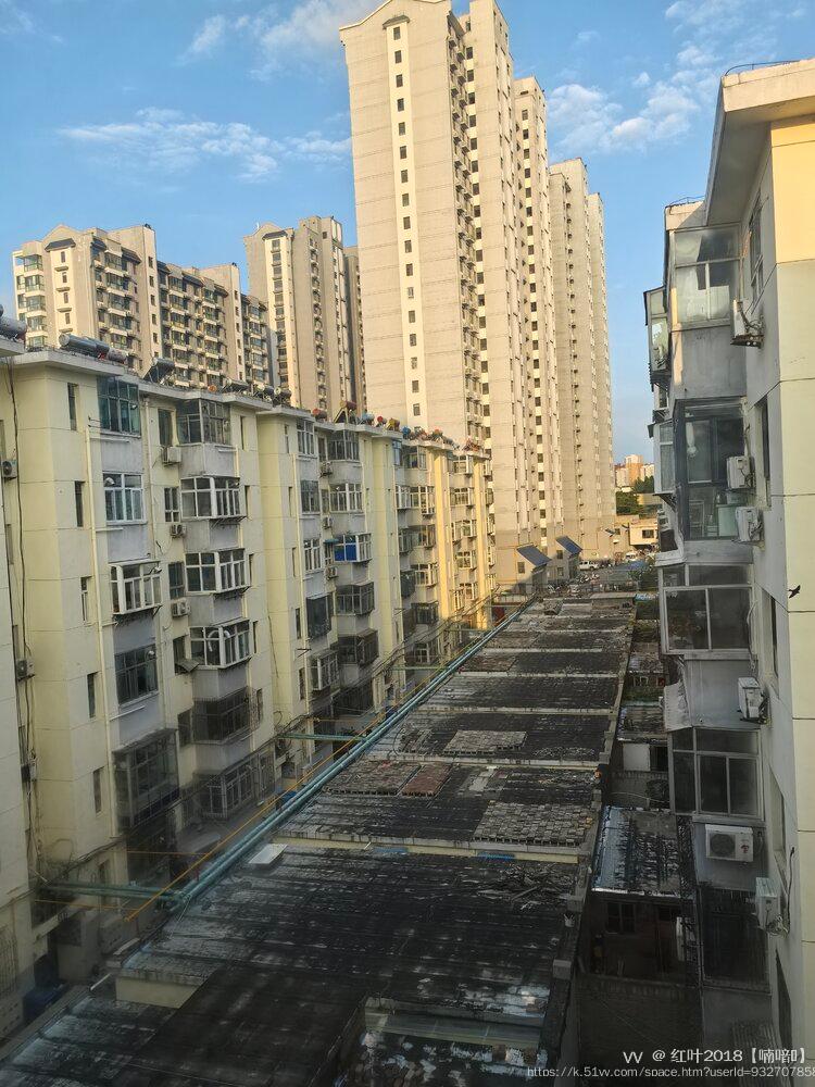 红叶2018【喃喑💫】