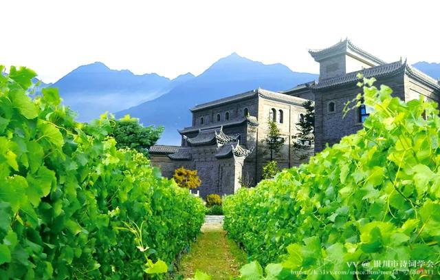 银川市诗词学会