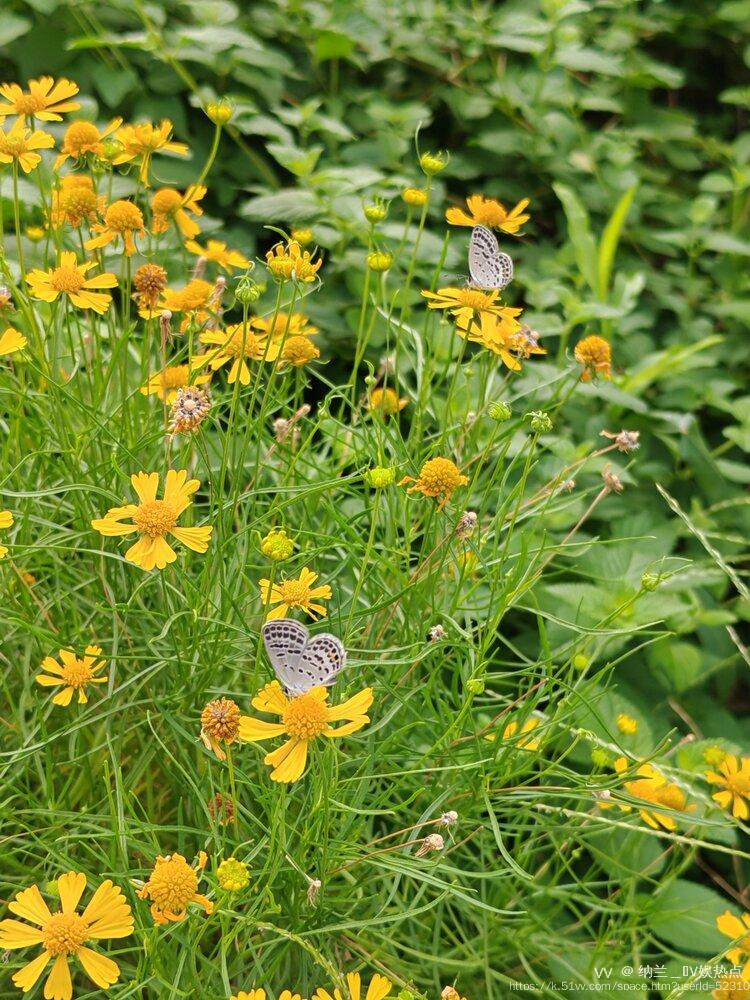 纳兰＿🎤V娱热点