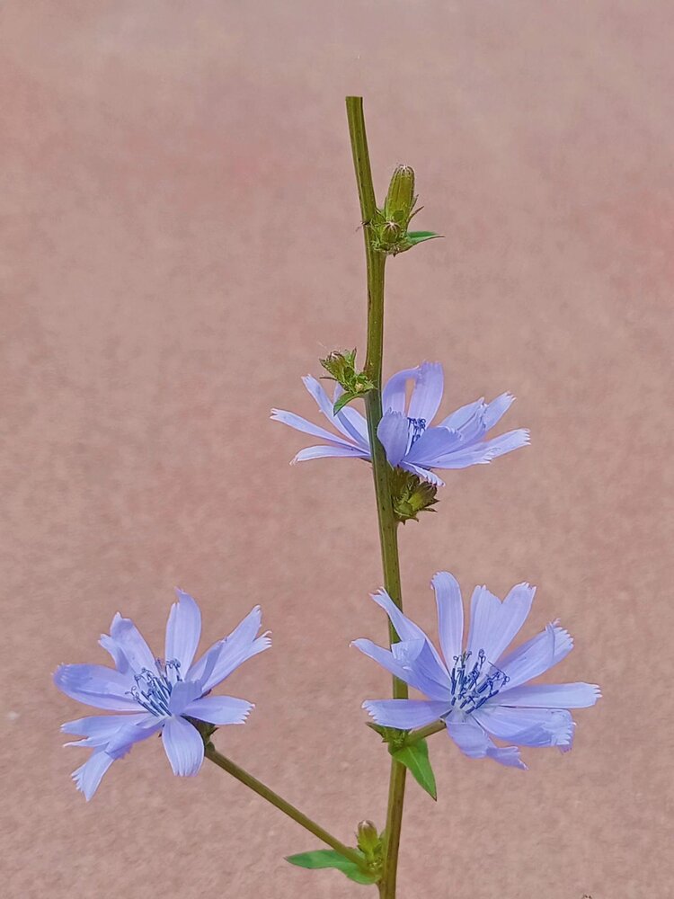 ྅爱ོℒฺℴฺ自νℯฺ己ོ༉