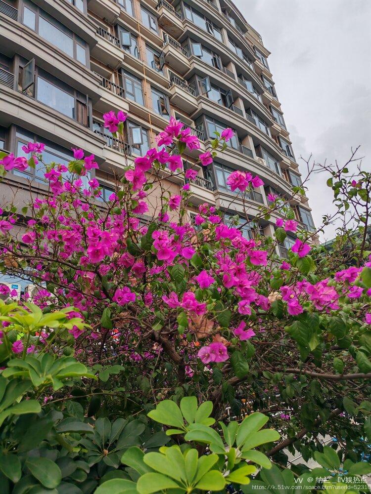 纳兰＿🎤V娱热点