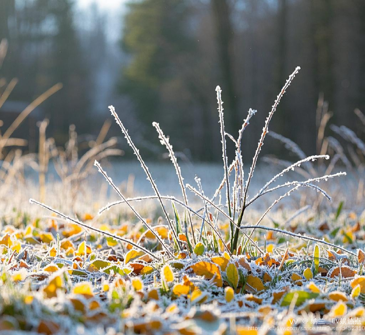 纳兰＿🎤V娱热点