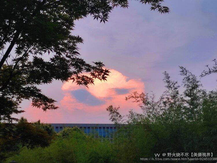 野火烧不尽【美摄视界】