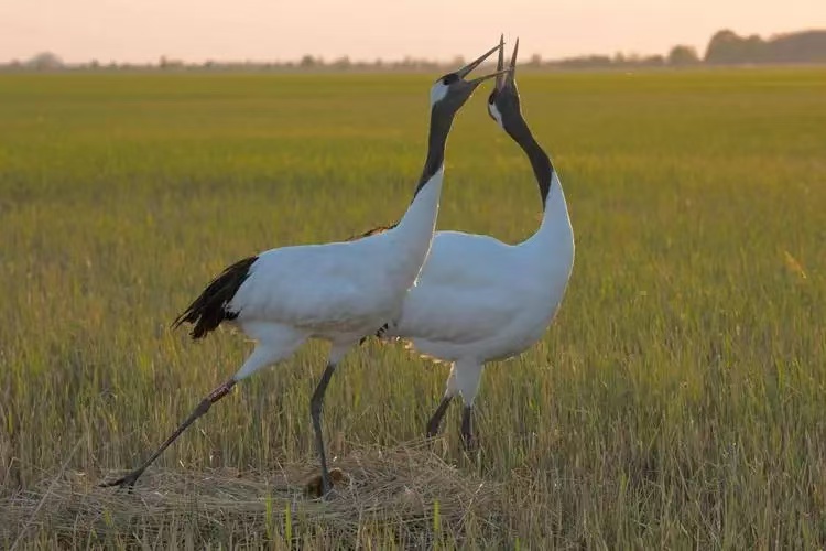 雪儿🎤V娱热点