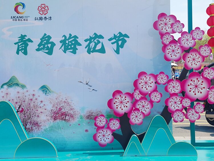 乔安