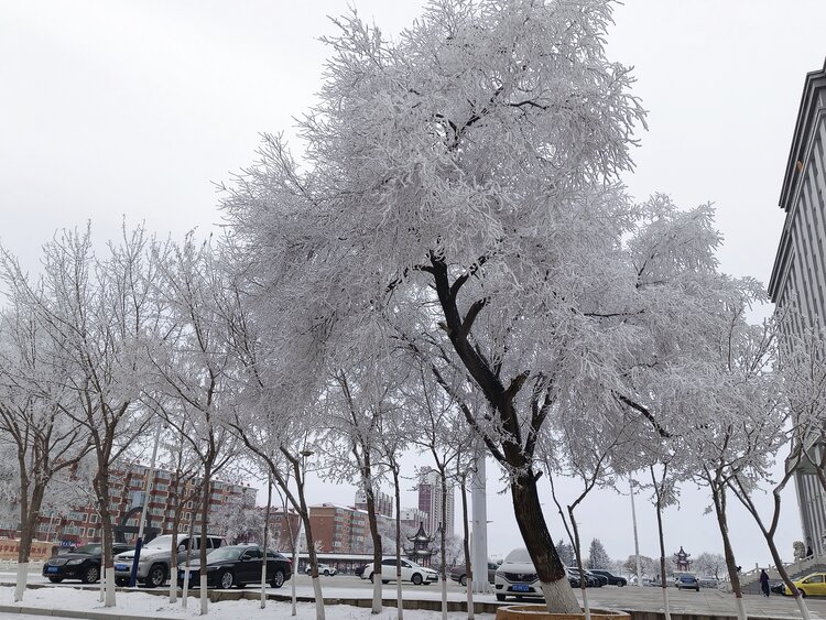 雪儿🎤V娱热点