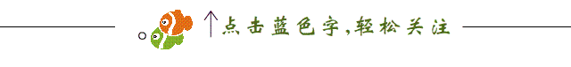 九州四川网文学社总编  杨万全