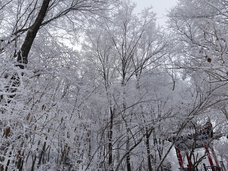 雪儿🎤V娱热点