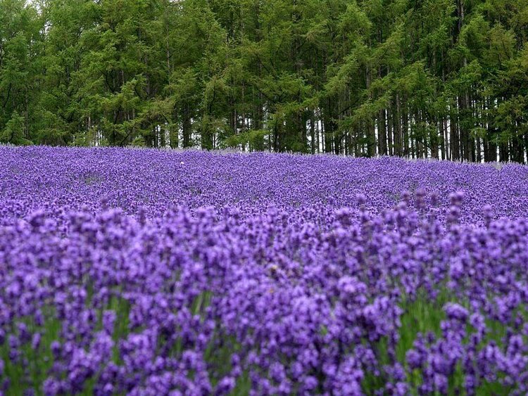 雪儿🎤V娱热点