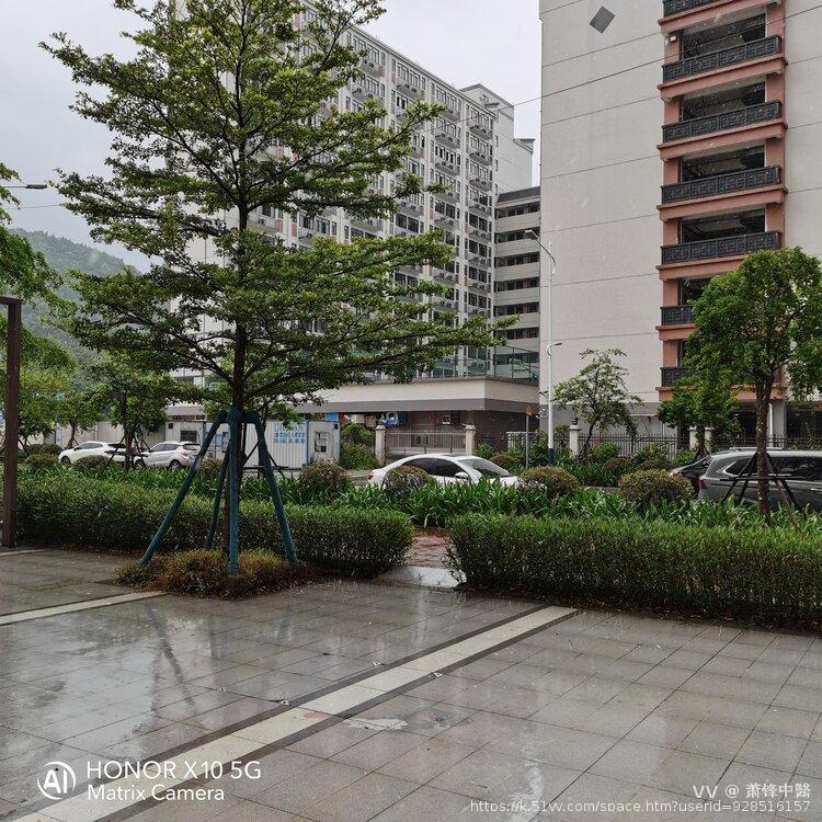 萧锋中醫
