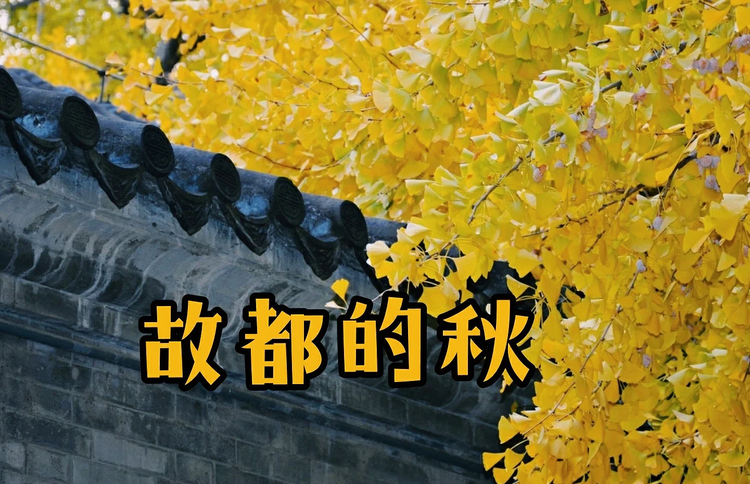 兰草