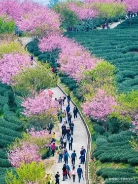 聽聲讀心【雅韵文轩】