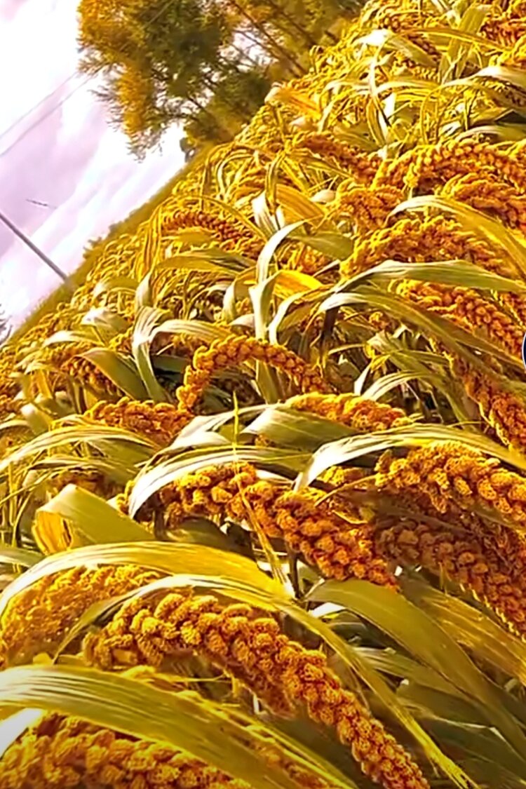 银川市诗词学会