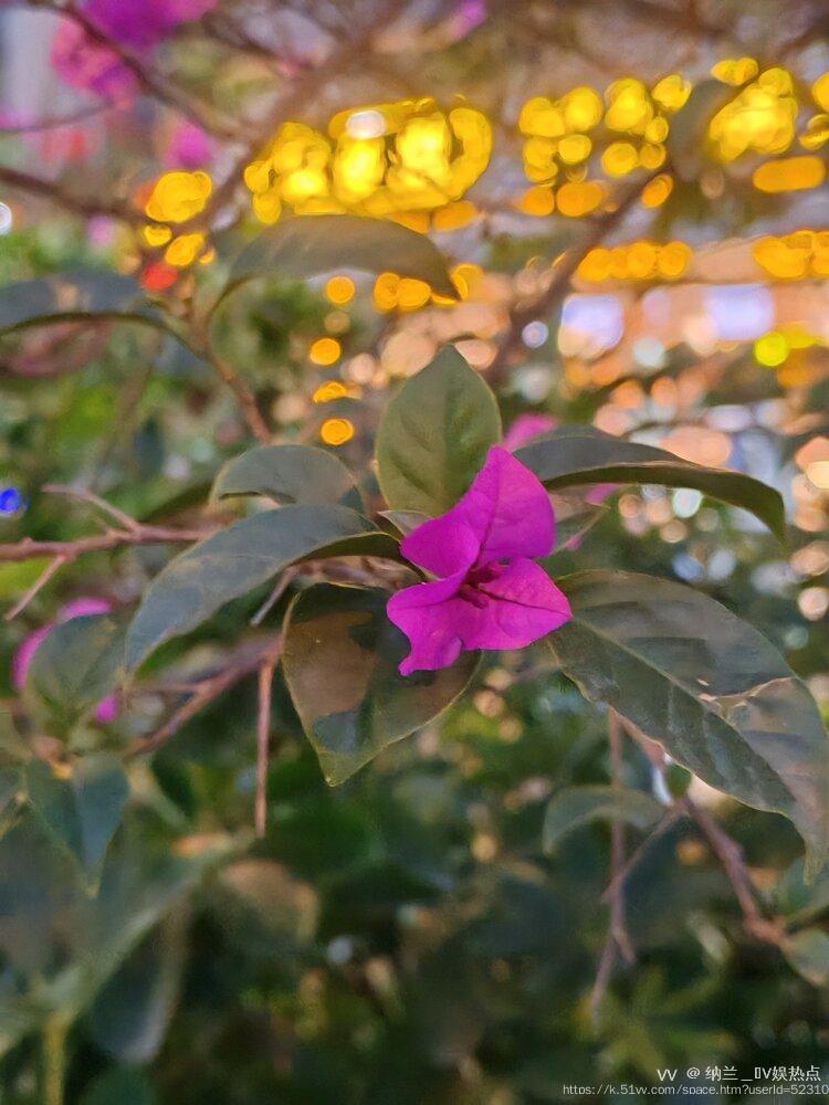 纳兰＿🎤V娱热点