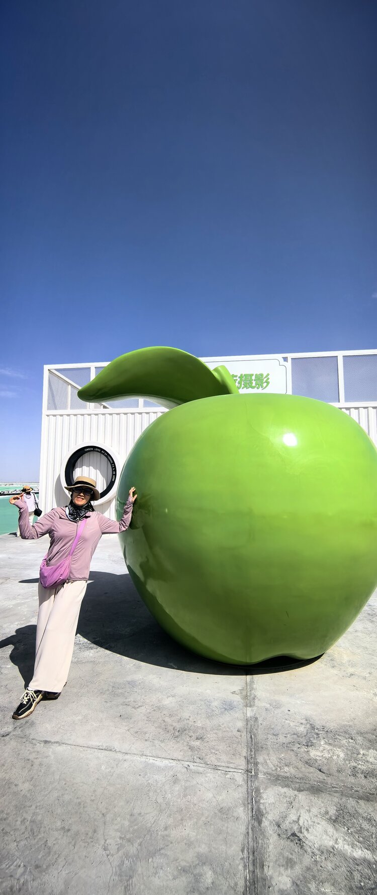 瑶池静荷
