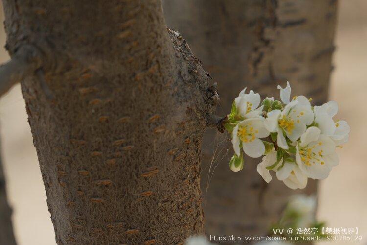 浩然亭【美摄视界】