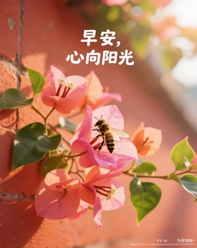 🌹🌹为爱相随4