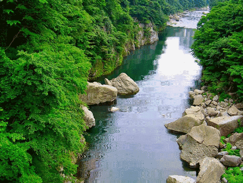 《喜迎春和景明!》 * 作者*旭光🌇