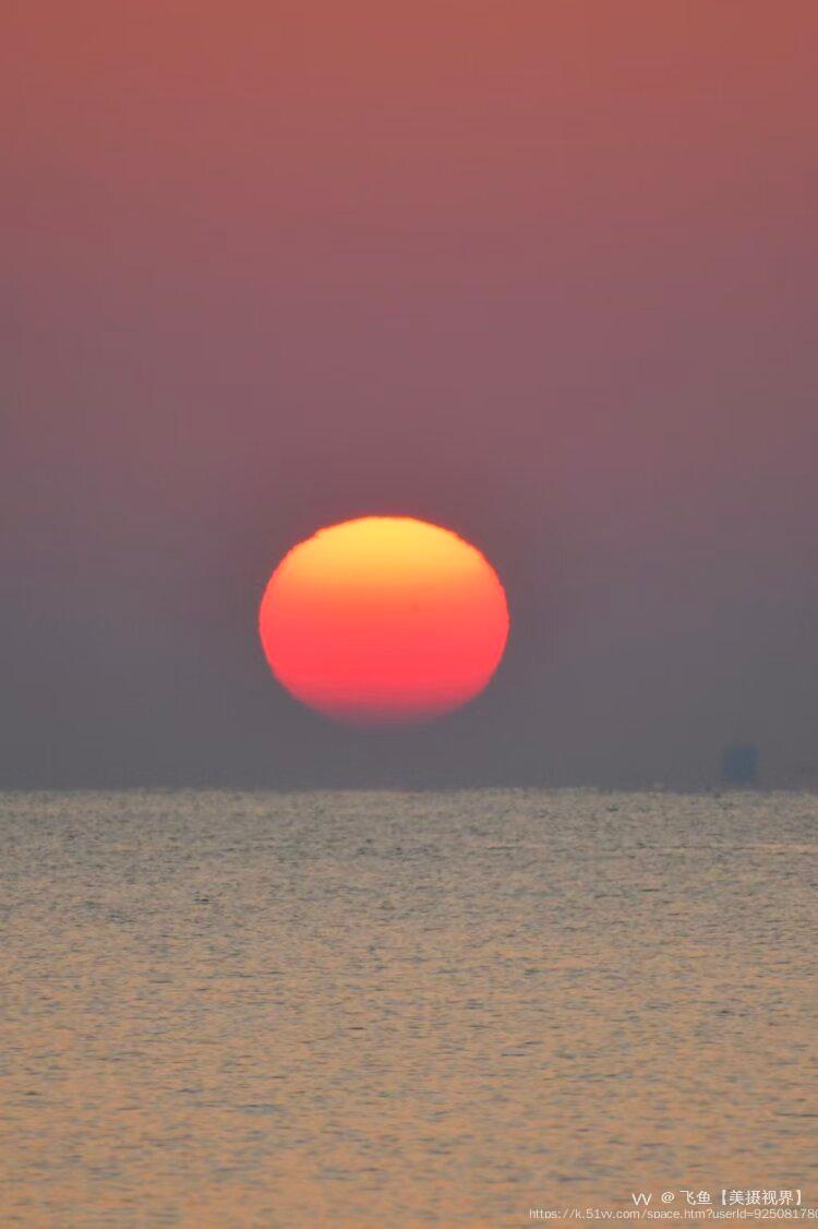 飞鱼【美摄视界】