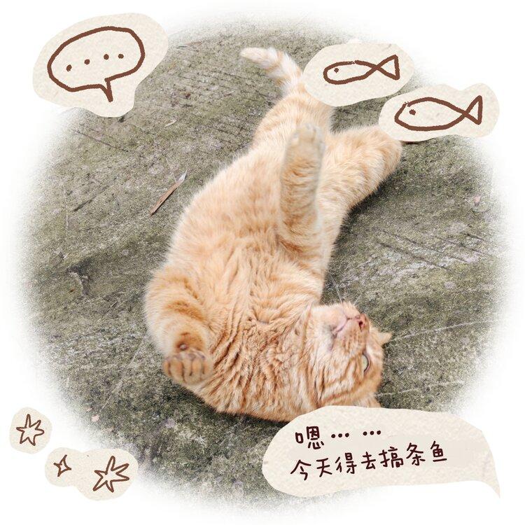 纳兰＿🎤V娱热点