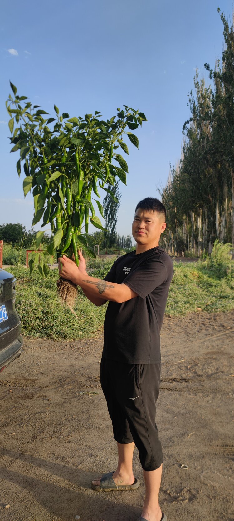 秦声韵🐬平安🌲
