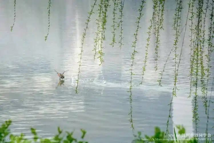 银川市诗词学会