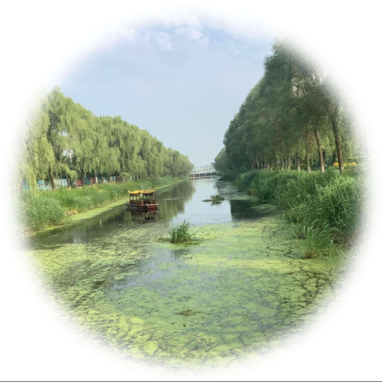 青士李振汉
