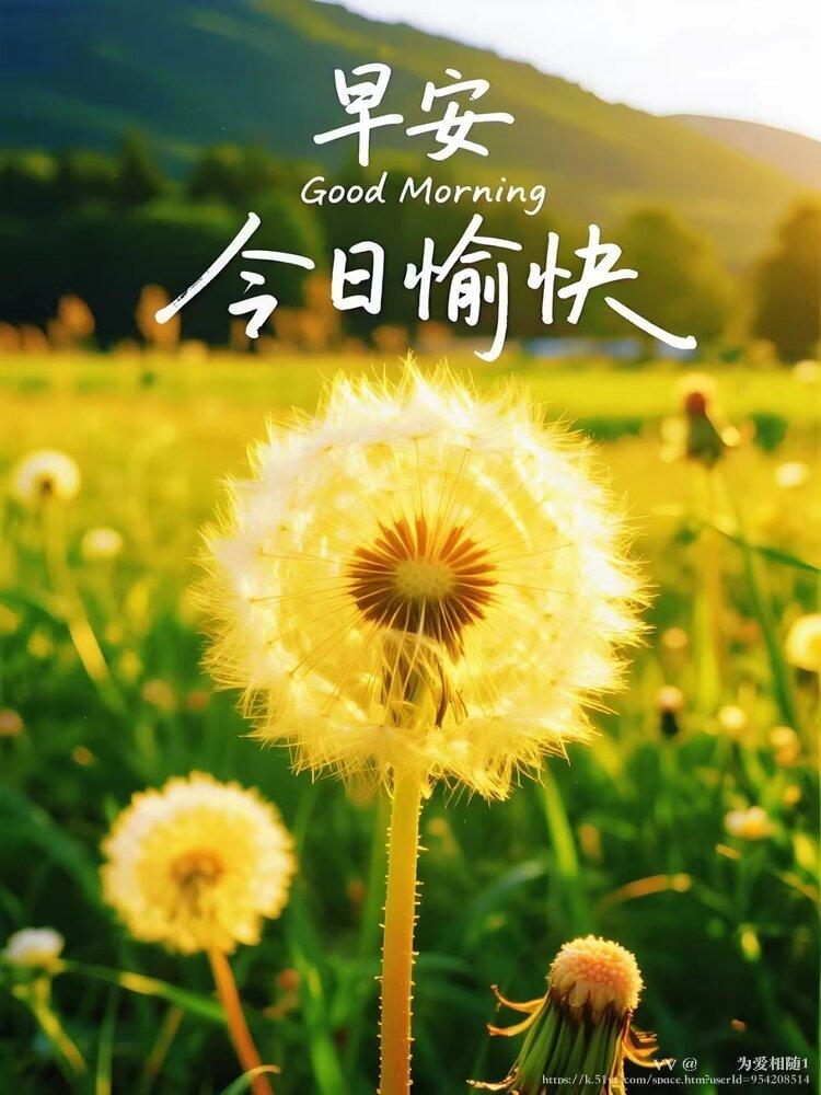 🌹🌹为爱相随1
