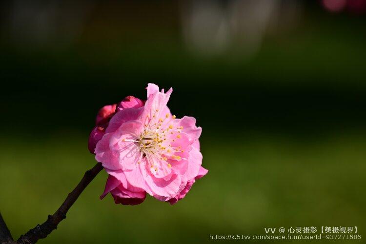 心灵摄影【美摄视界】