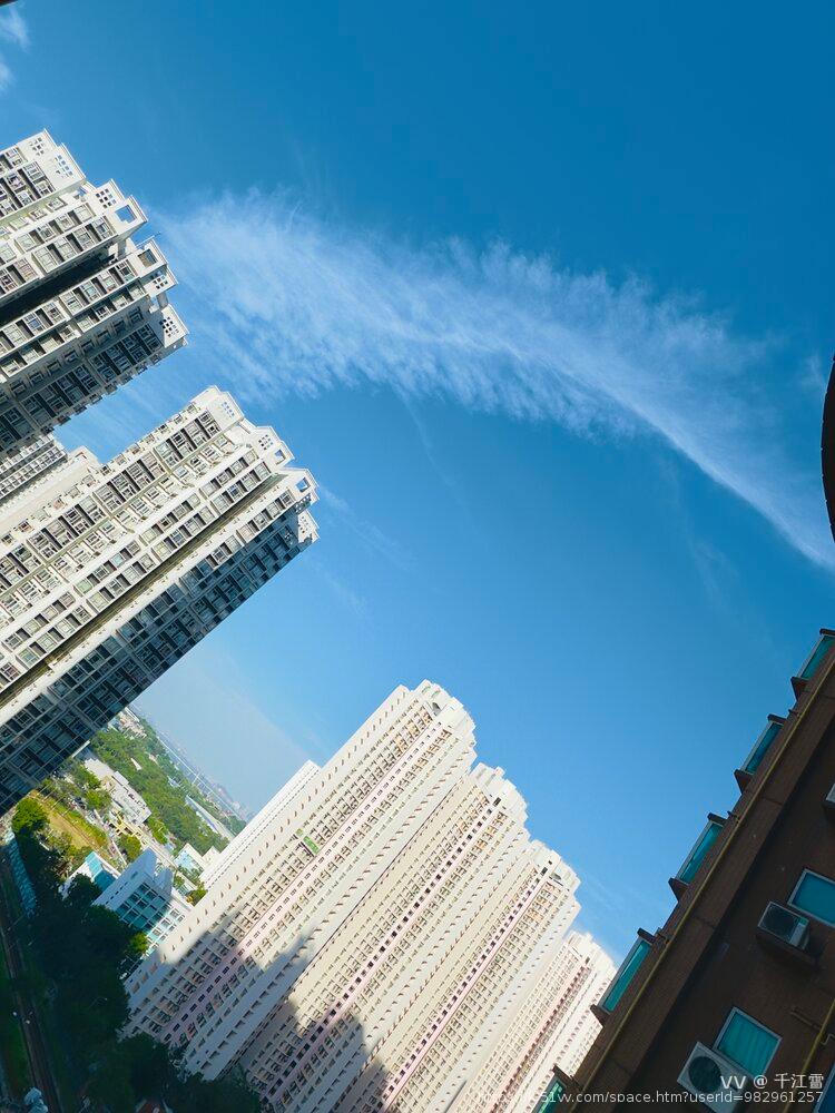 千江雪