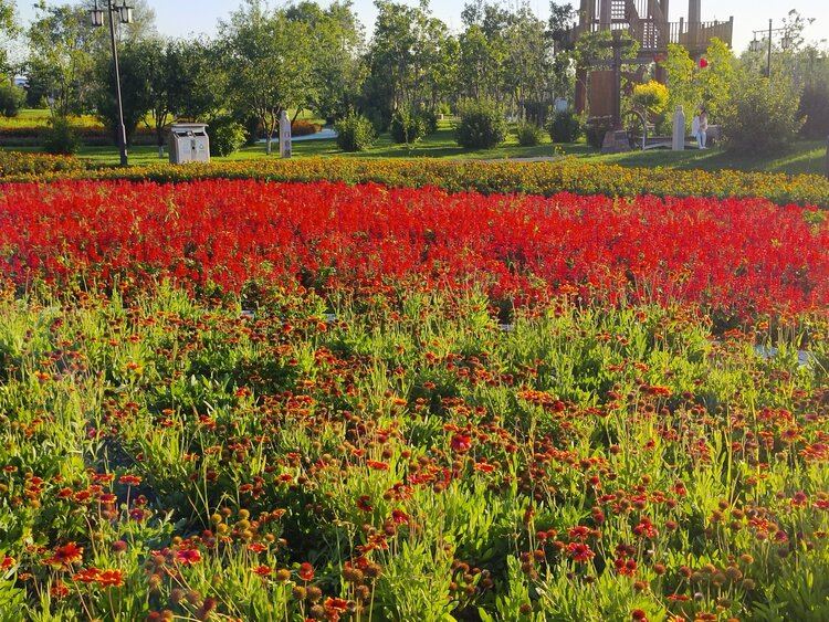 雪儿🎤V娱热点