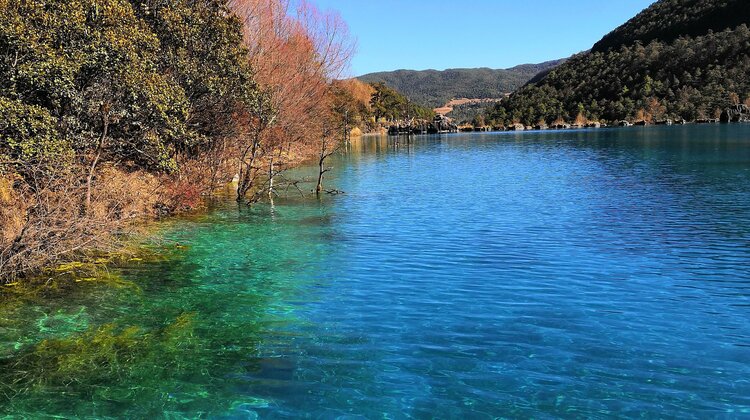 雪儿🎤V娱热点