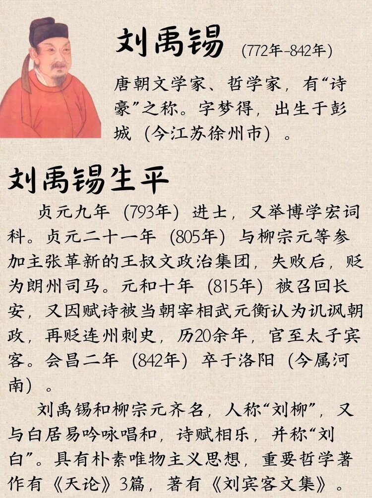 小萍荷
