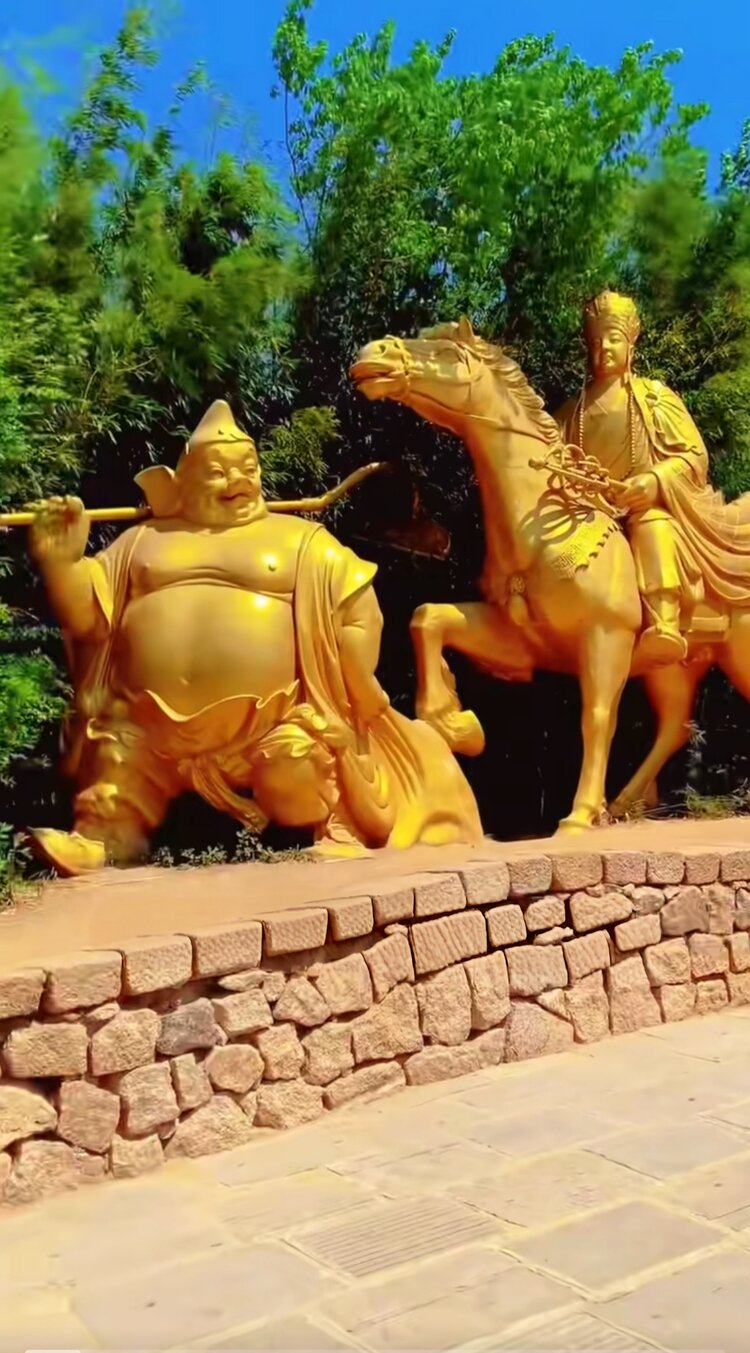 绽放