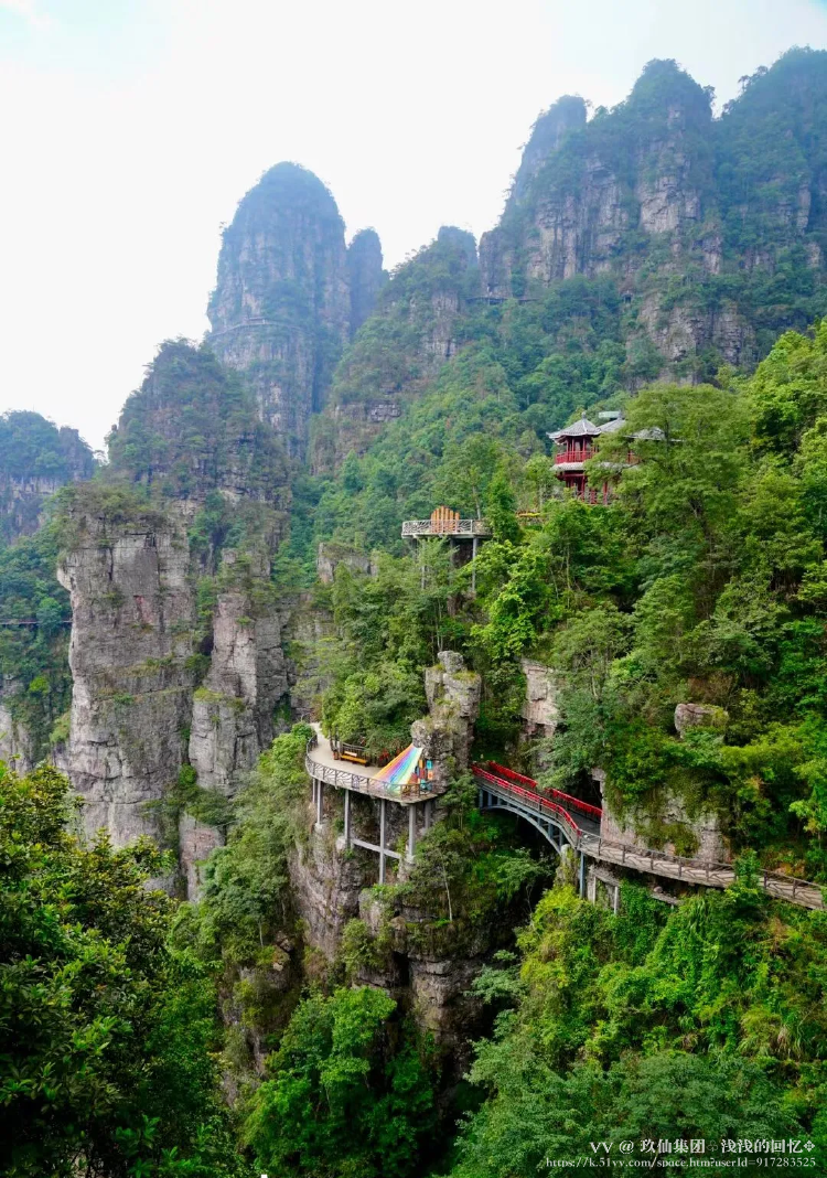 玖仙集团♧浅浅的回忆✥