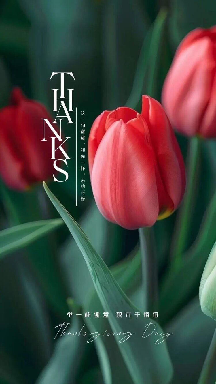 雪儿🎤V娱热点