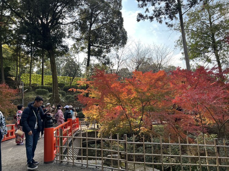 雪儿🎤V娱热点