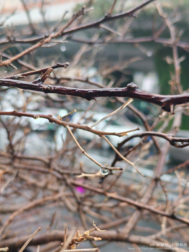 纳兰＿🎤V娱热点