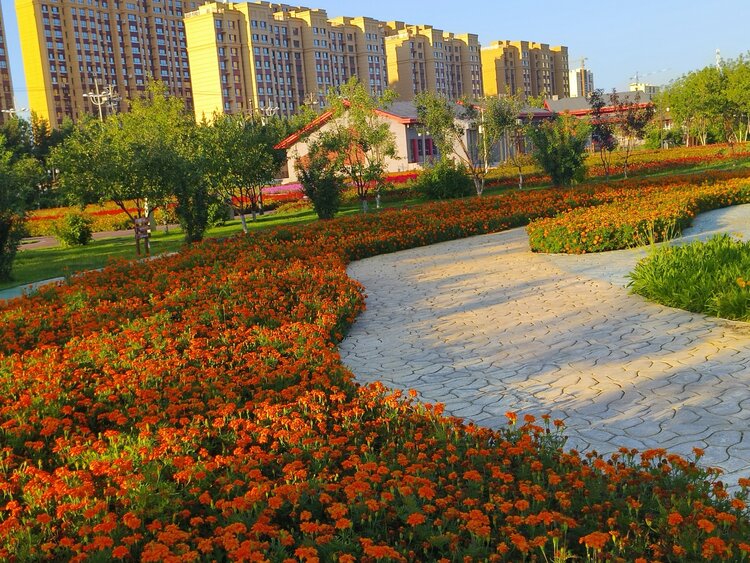 雪儿🎤V娱热点