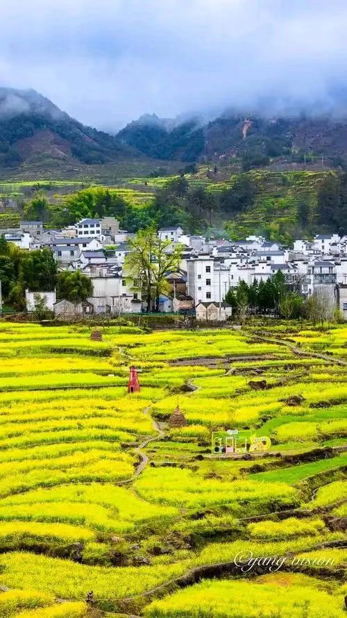 《华人文艺选刊》赵良田主编