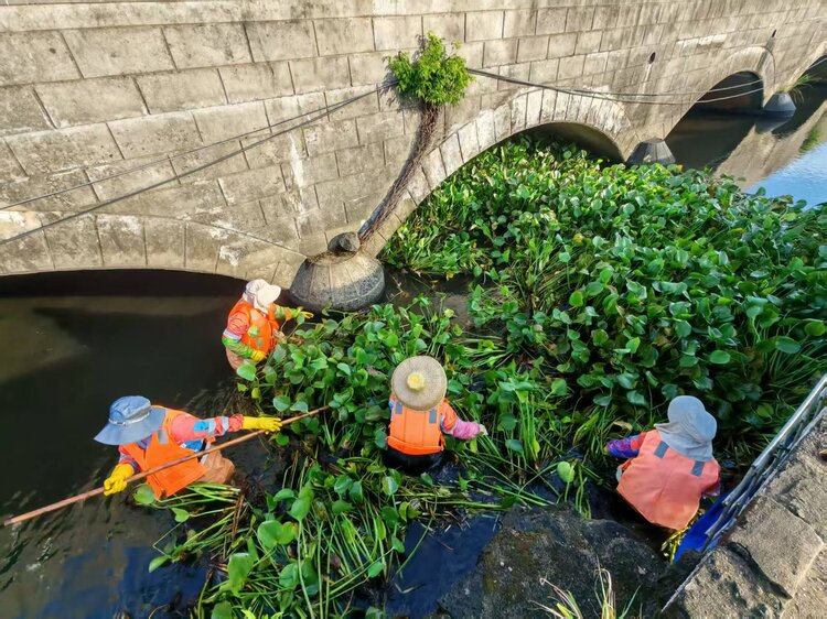 海口京环公司