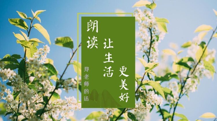 妮妮