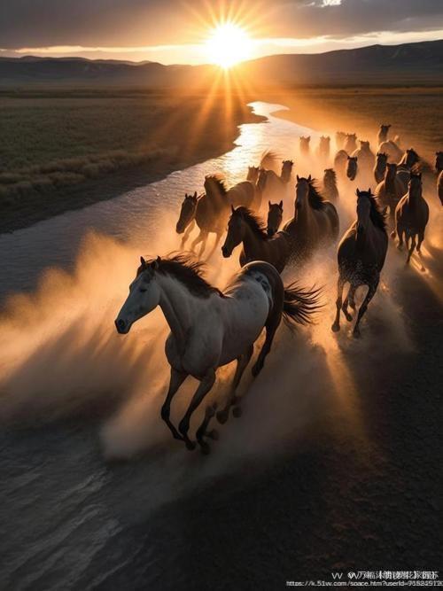 【朗读者 】衍苏