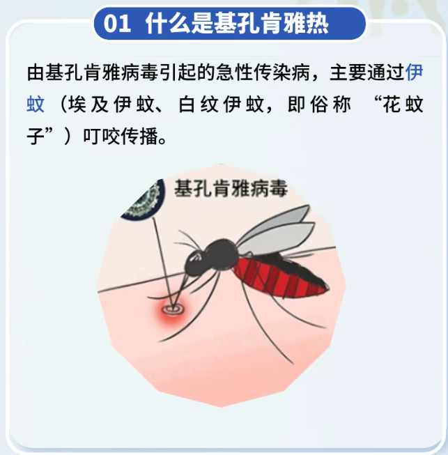 海口玉禾田