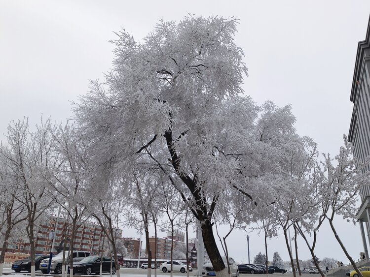 雪儿🎤V娱热点