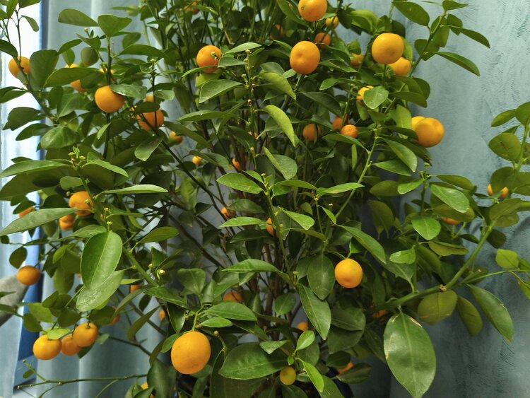 雪儿🎤V娱热点