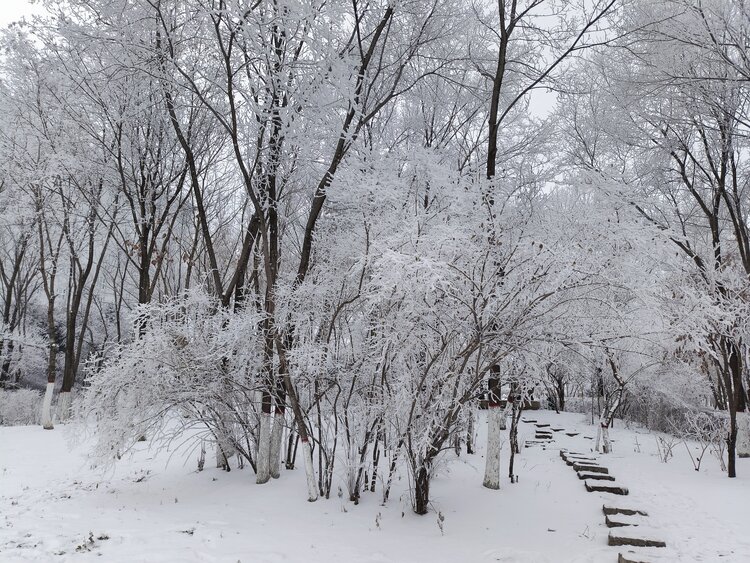 雪儿🎤V娱热点