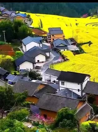 《华人文艺选刊》赵良田主编