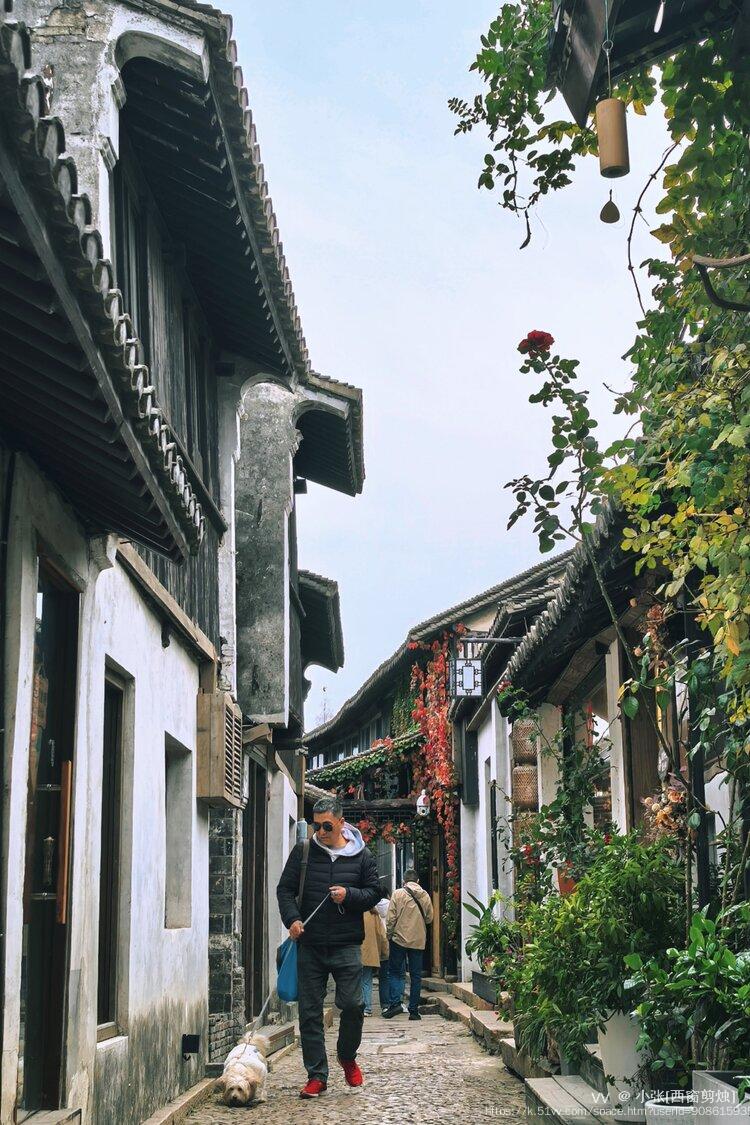 小张[西窗剪烛]