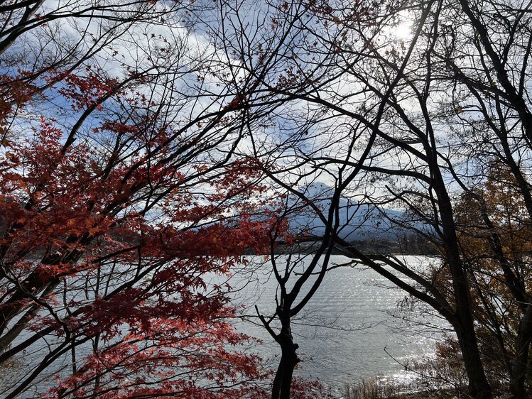 雪儿🎤V娱热点